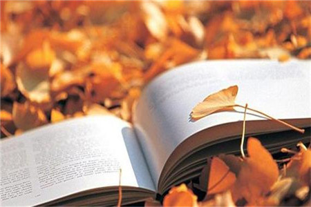 湖南教师资格面试技巧：现代教育技术对师范生必要性