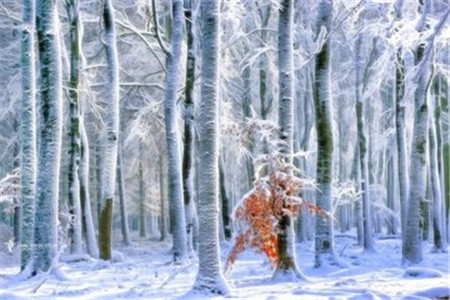 湖南教师招聘面试：答辩的注意事项