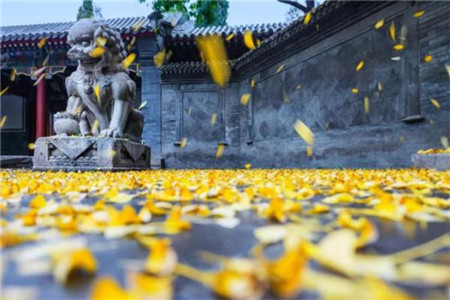 中国教师资格网查教资面试成绩显示无数据是什么意思?