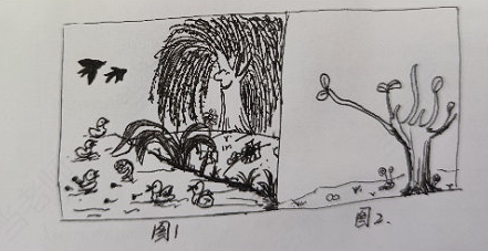 湖南教师资格证